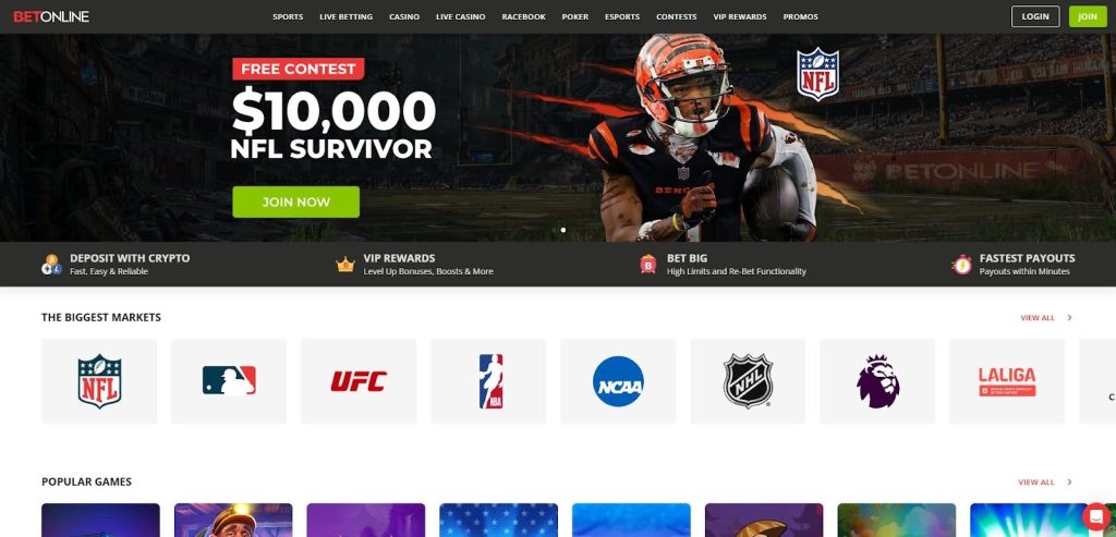 BetOnline sportsbook logo – veteran offshore betting site with wide market coverage