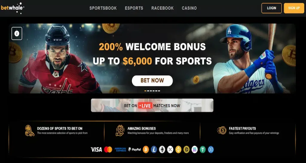 BetWhale sportsbook logo – fast-payout offshore betting platform with esports options